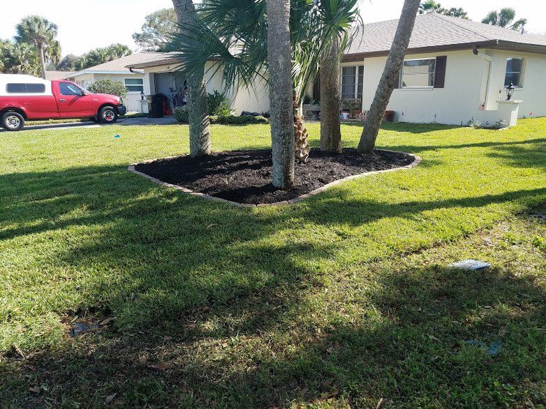Landscaping on a Budget Sarasota