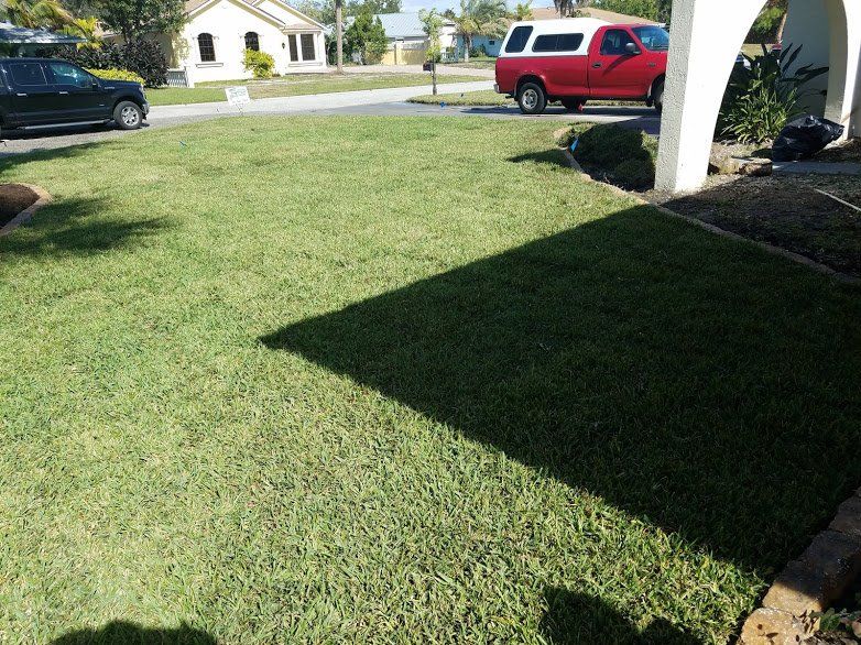 Landscaping on a Budget Sarasota