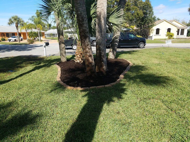 Landscaping on a Budget Sarasota