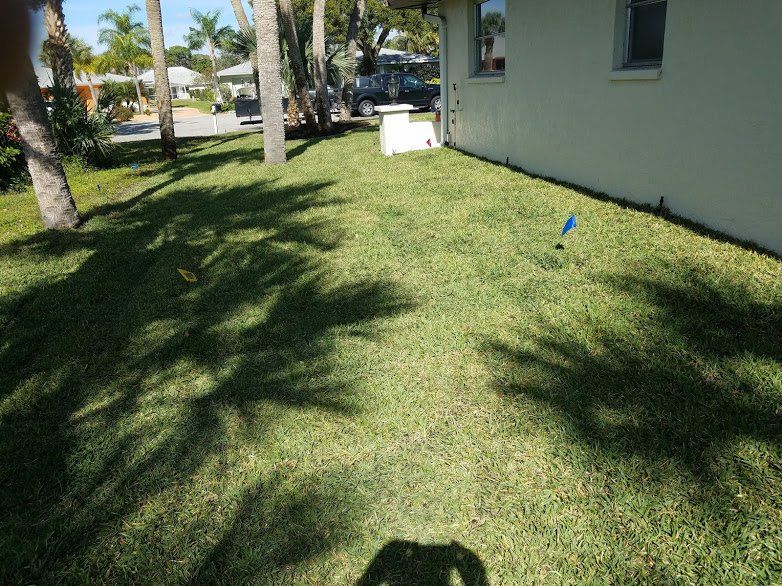 Landscaping on a Budget Sarasota