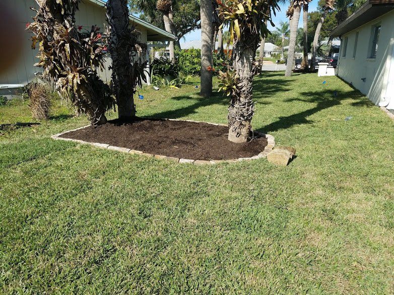Landscaping on a Budget Sarasota