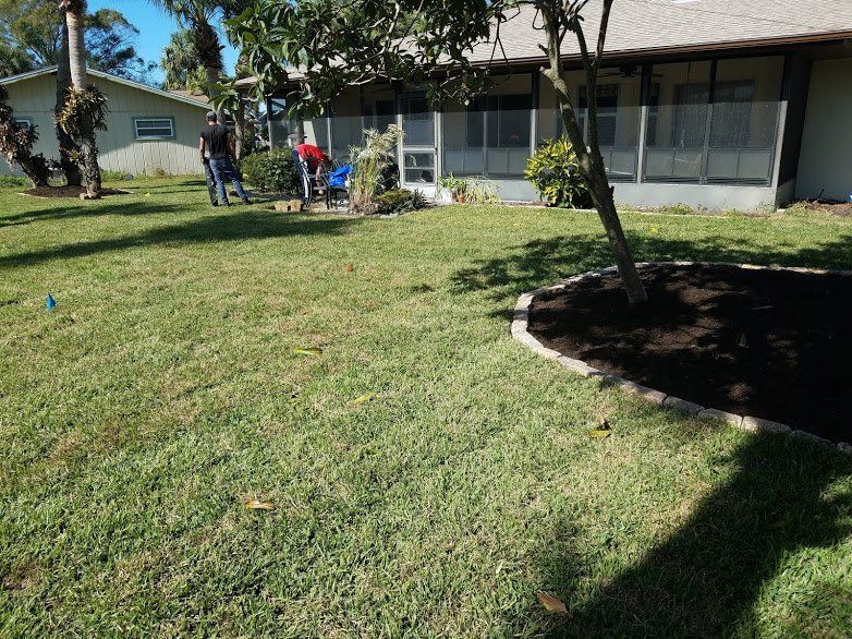 Landscaping on a Budget Sarasota