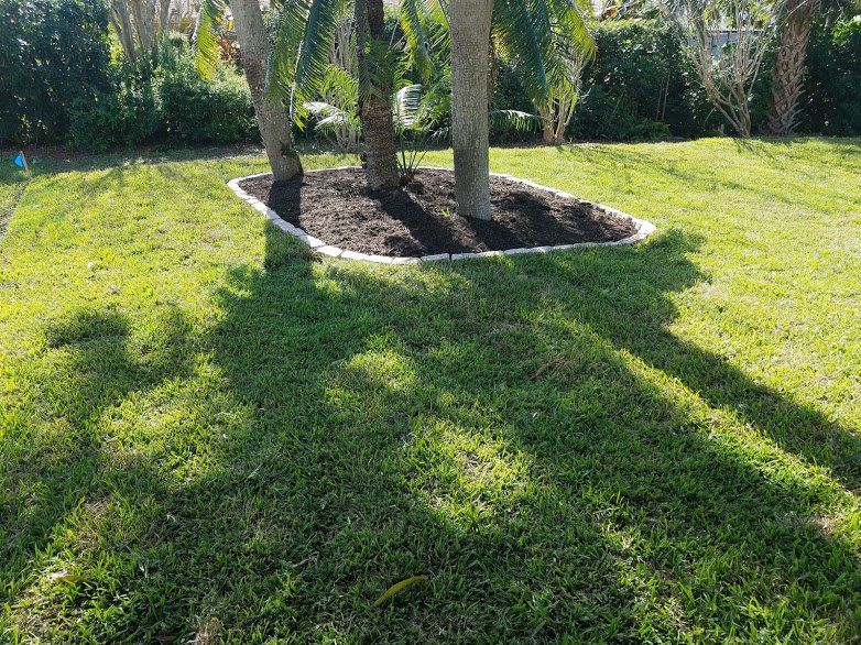 Landscaping on a Budget Sarasota