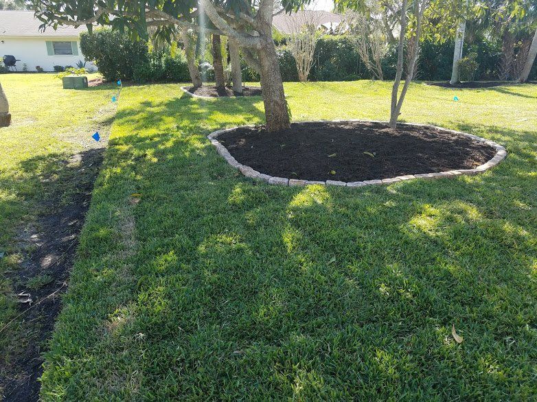 Landscaping on a Budget Sarasota