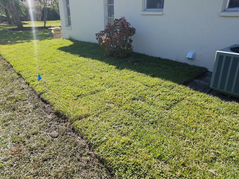 Landscaping on a Budget Sarasota