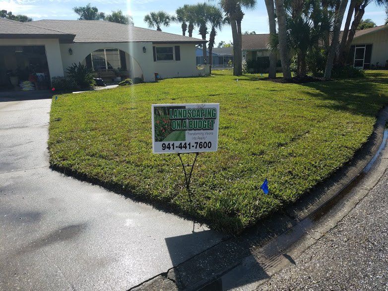 Landscaping on a Budget Sarasota