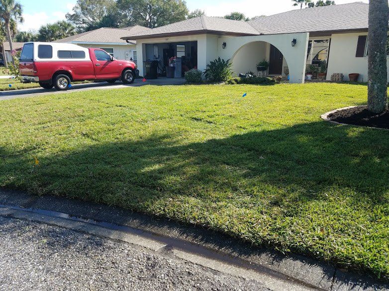 Landscaping on a Budget Sarasota