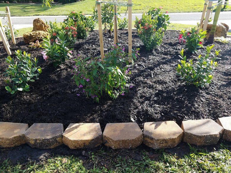 Landscaping on a Budget Sarasota