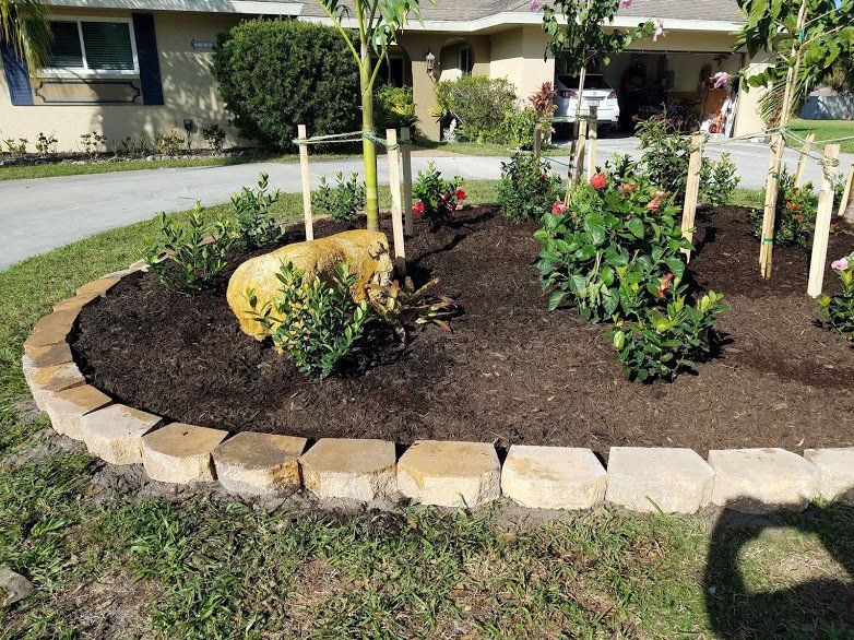 Landscaping on a Budget Sarasota