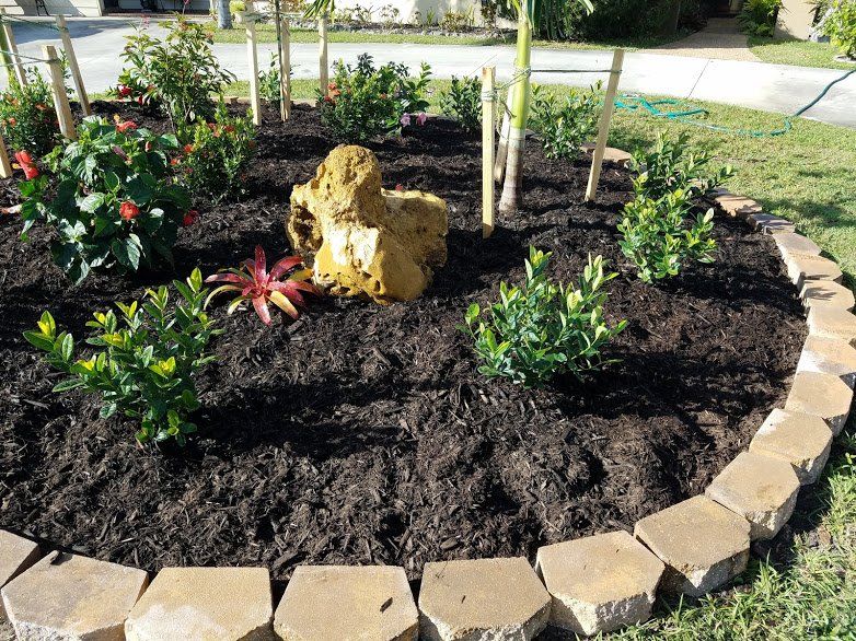 Landscaping on a Budget Sarasota