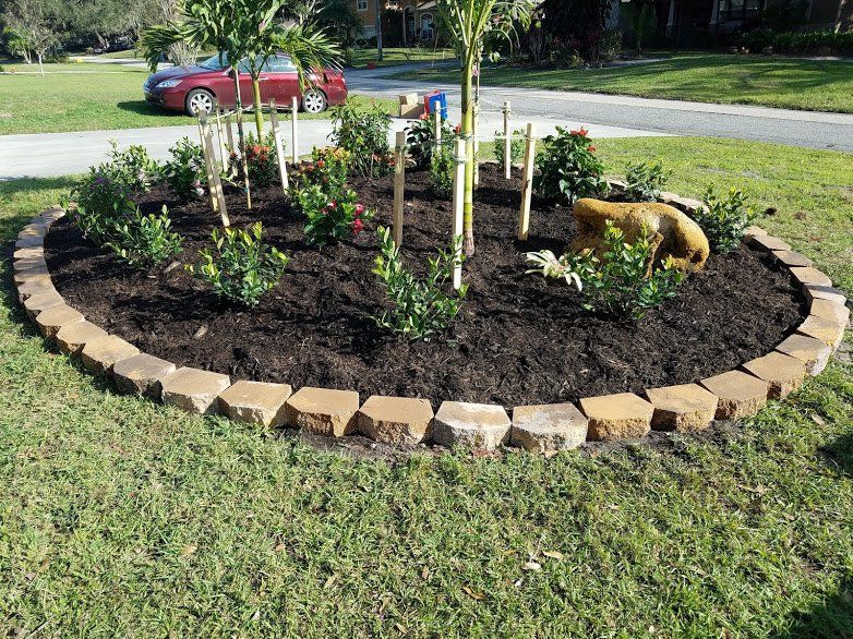 Landscaping on a Budget Sarasota