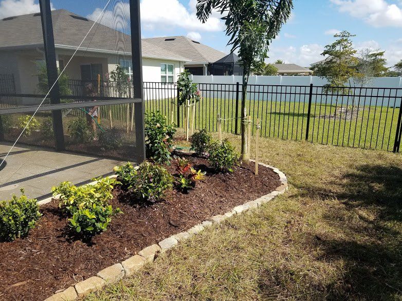 Landscape,Landscaping,Landscape Design,Affordable Landscaping,Flowers,Sod,Garden,Lawn Care,Landscaping on a Budget Sarasota