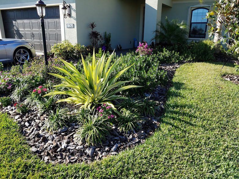 Landscaping on a Budget Sarasota