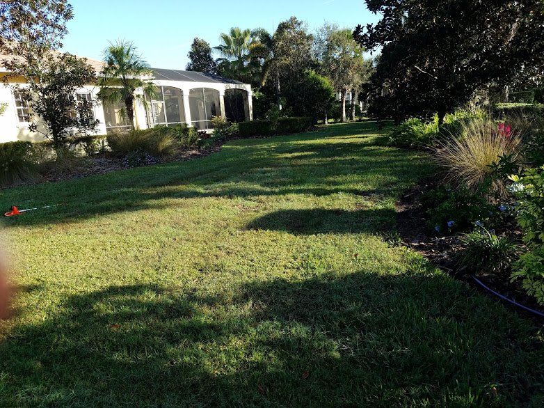 Landscaping on a Budget Sarasota