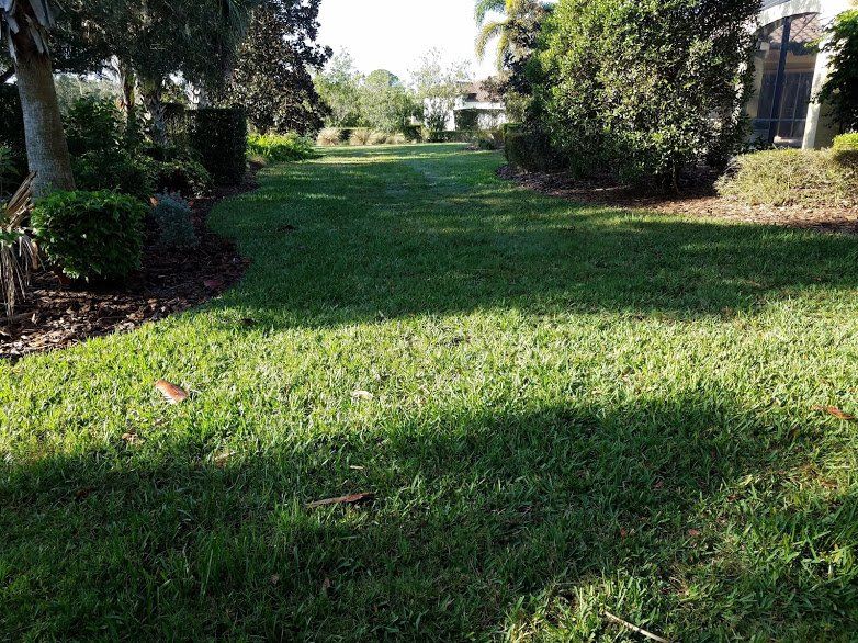 Landscaping on a Budget Sarasota