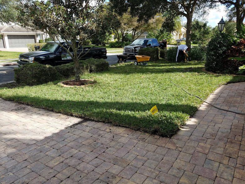 Landscaping on a Budget Sarasota