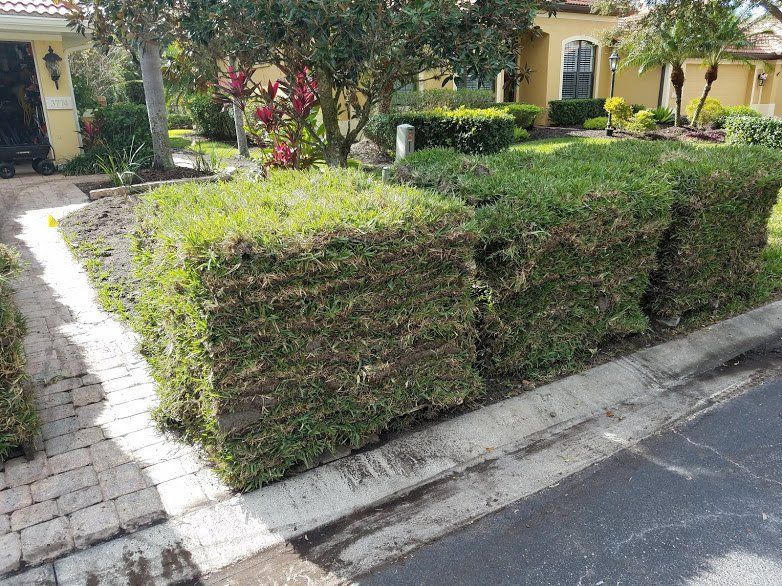Landscaping on a Budget Sarasota