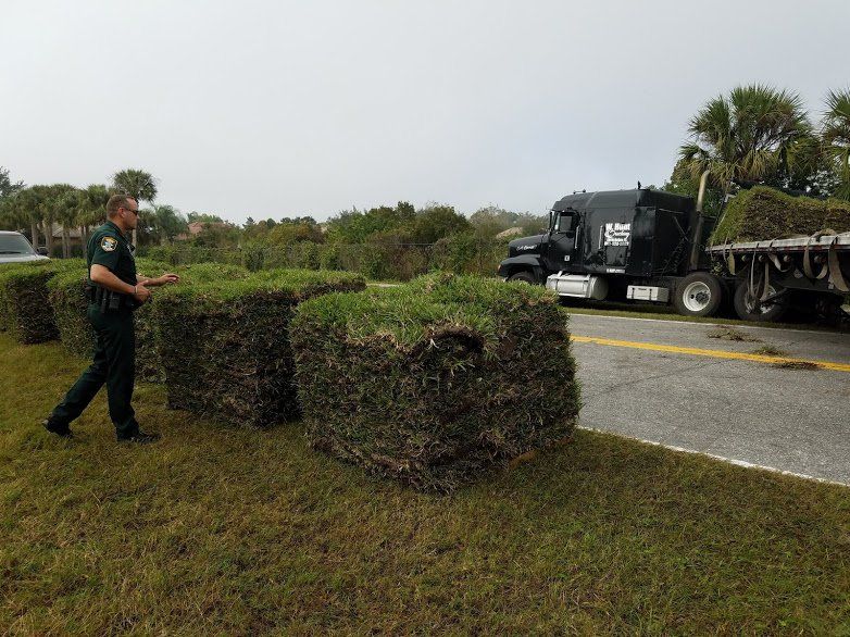 Landscaping on a Budget Sarasota