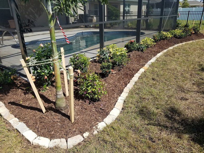 Landscape,Landscaping,Landscape Design,Affordable Landscaping,Flowers,Sod,Garden,Lawn Care,Landscaping on a Budget Sarasota