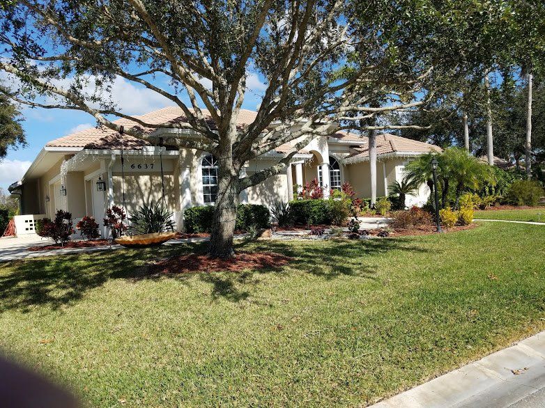 Landscaping on a Budget Sarasota