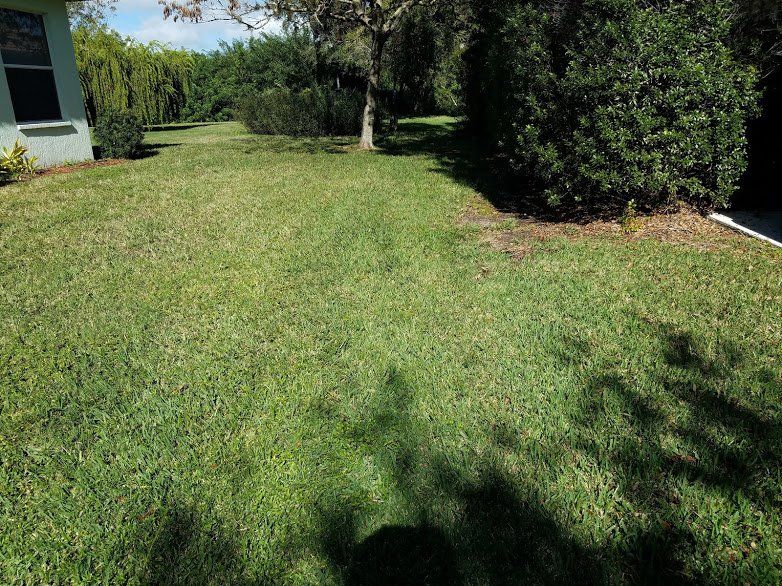 Landscaping on a Budget Sarasota