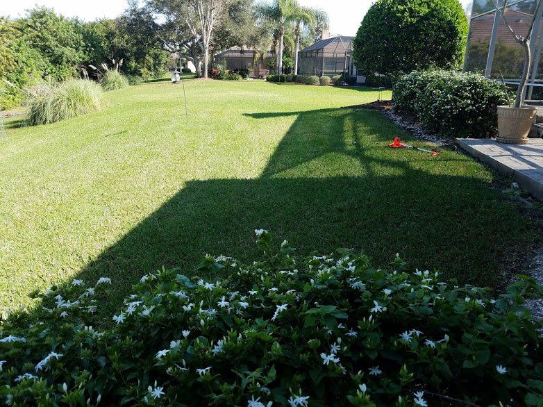 Landscaping on a Budget Sarasota