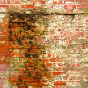 dirty and damaged wall