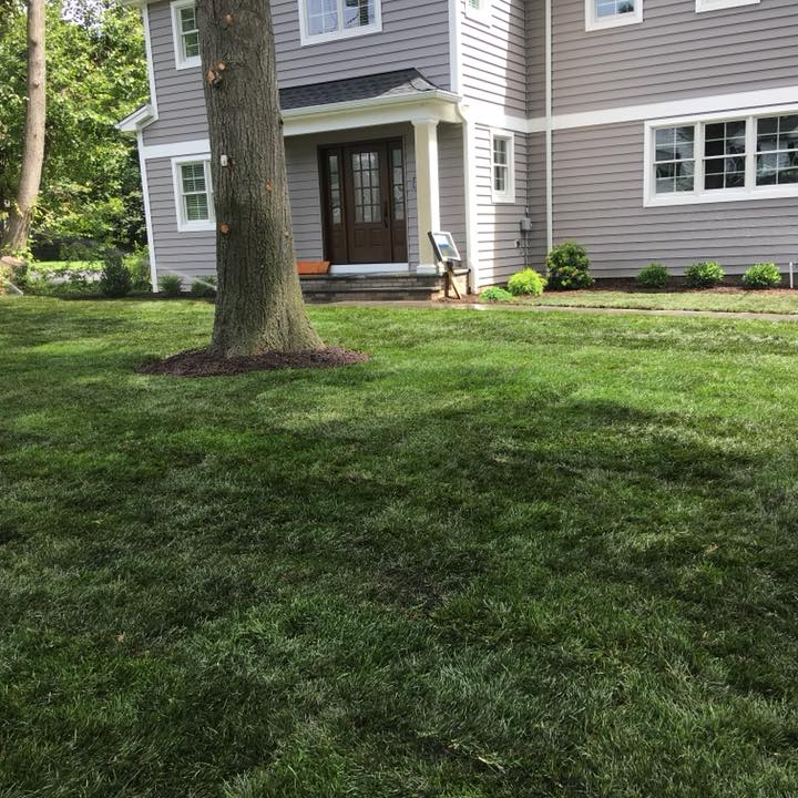 landscape contractors in Waldwick