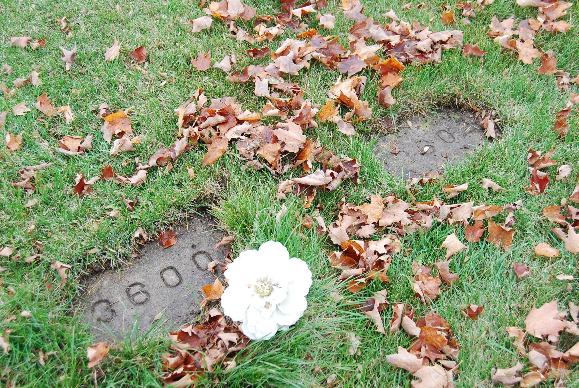 HRC Cemetery Markers