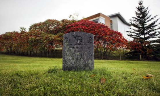 Newly released case files reveal details of Huronia Regional Centre children