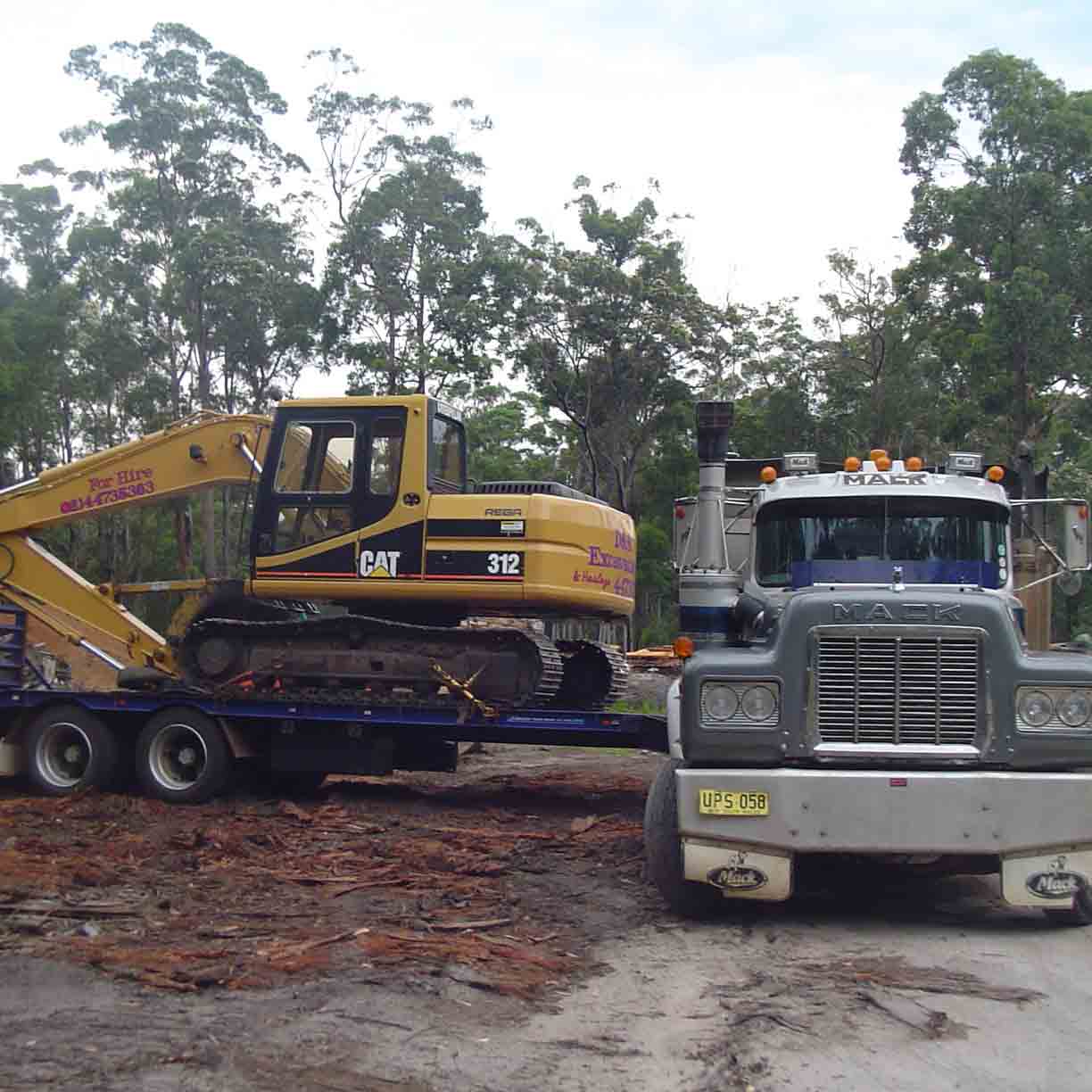 Select the right service yellow bobcat in trees
