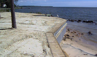Dock in Marsh