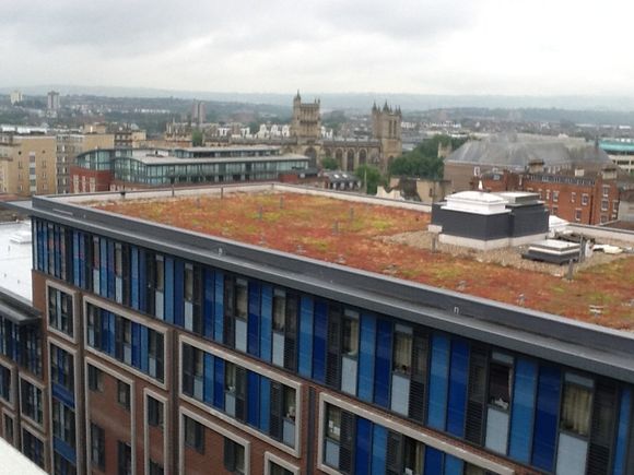 commercial roofing