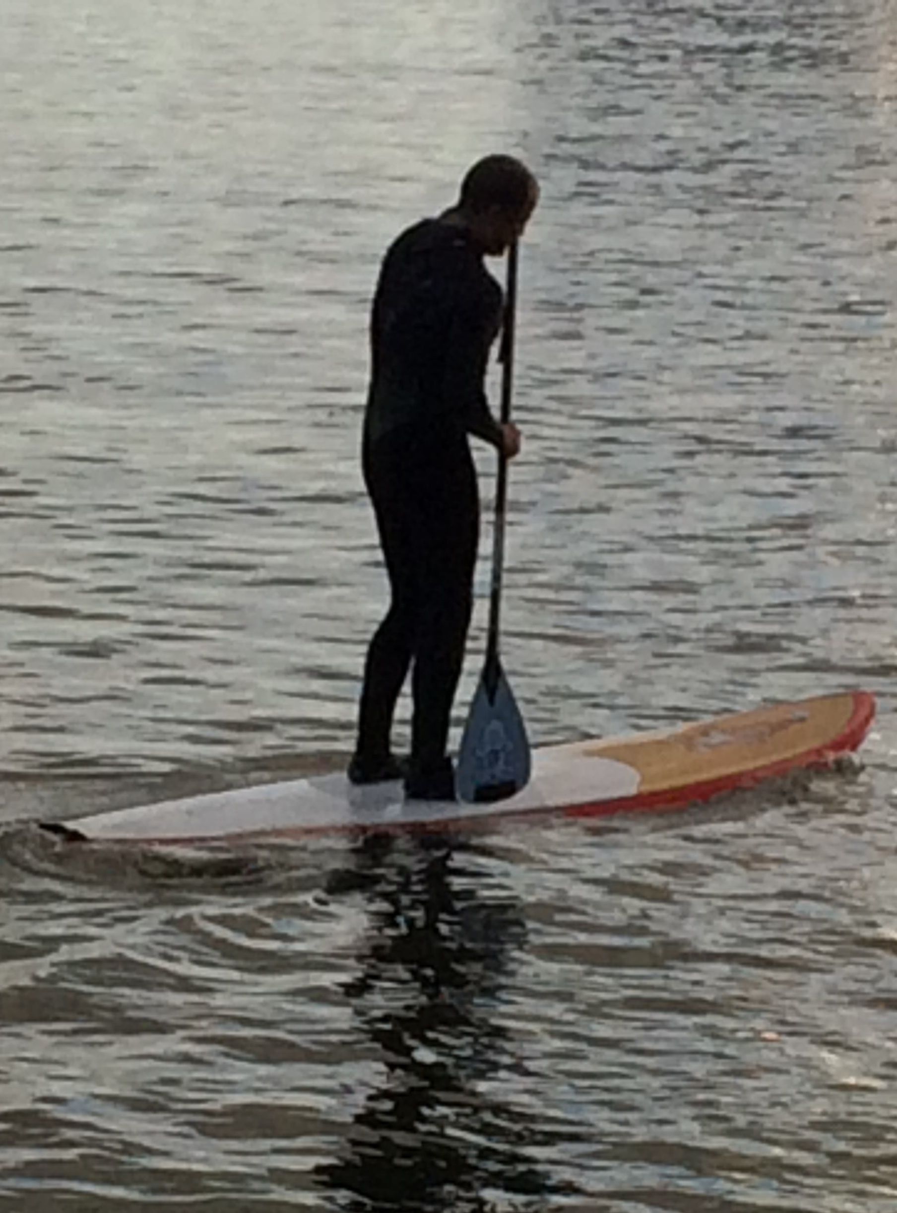 Paddle Boarder