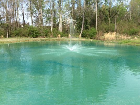 Pond Design Wilson, NC