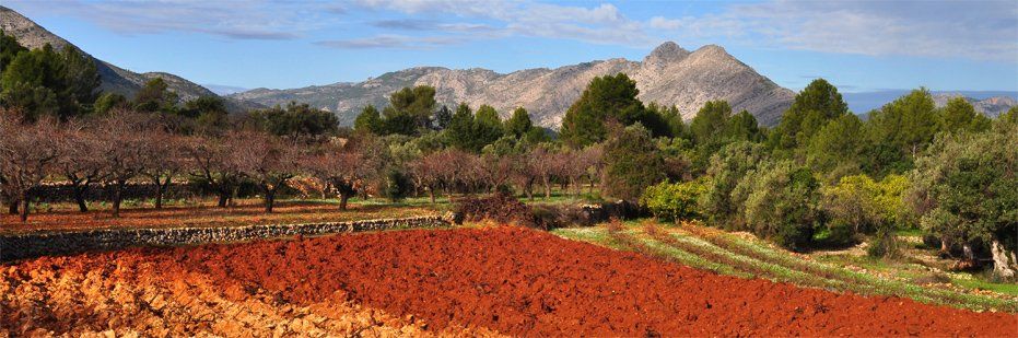 Jalon Valley farm land