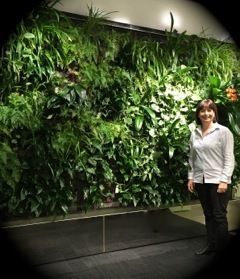 about plants undercover