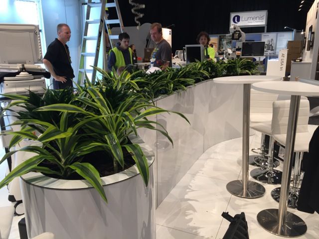 Indoor potted plants