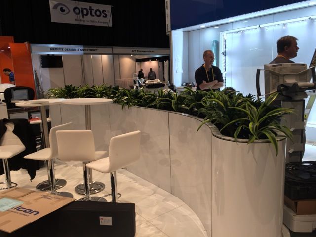 Indoor potted plants
