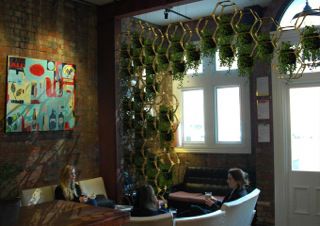 Indoor plants