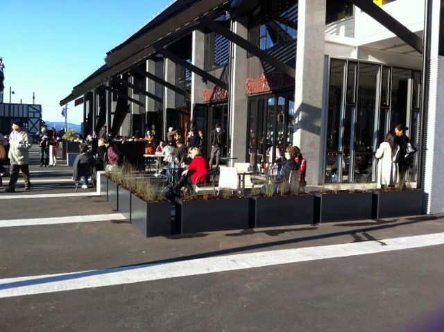 View of plants potted at a commercial place