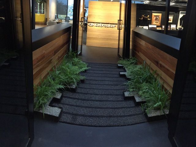 Indoor plants at staircase
