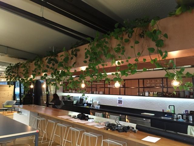 Indoor plants