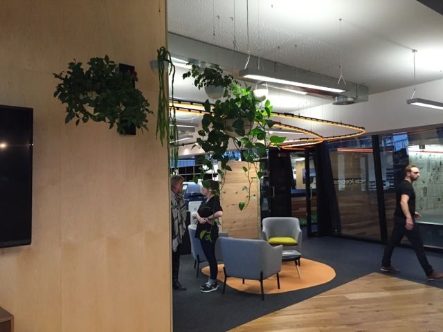Indoor plants