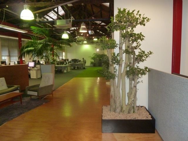 Indoor plants at a commercial spaceac