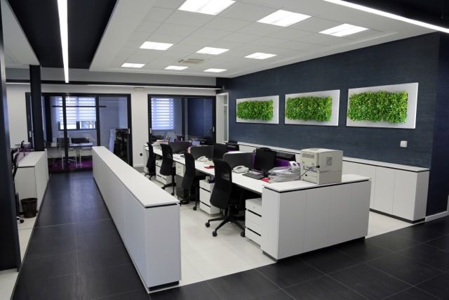 Indoor potted plants at office