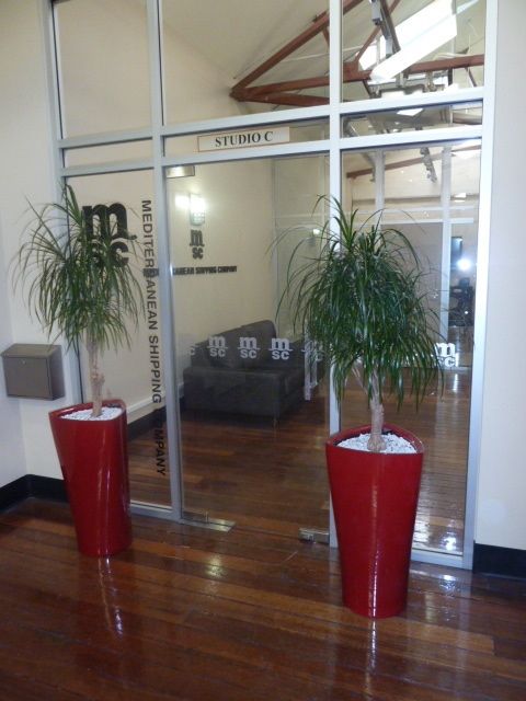 View of indoor potted plants