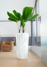 View of indoor potted plants