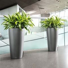 View of indoor potted plants