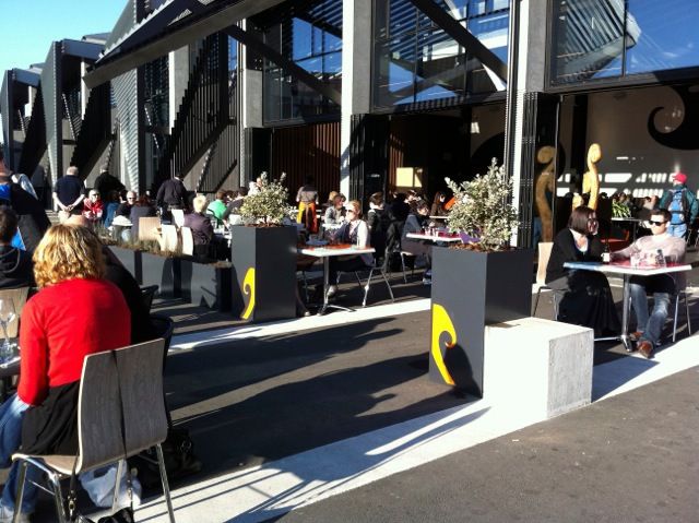 View of plants potted at a commercial place